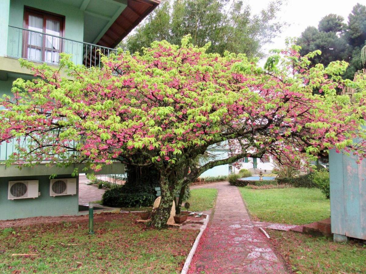 Imperial Parque Hotel Grupo de Hotéis Mar e Mar Nova Petropolis Extérieur photo